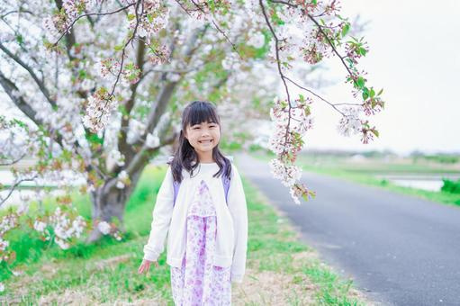北見市にある「北見市立中央小学校」をご紹介！の画像