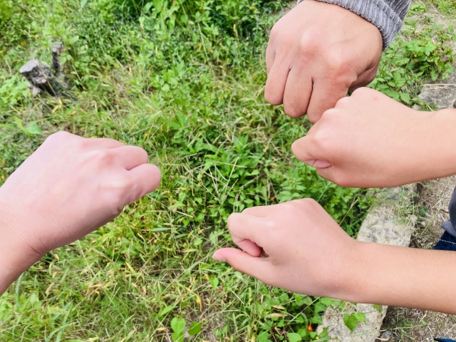 ファミリー向けの賃貸物件のメリットと注意点とは？物件の選び方もご紹介！