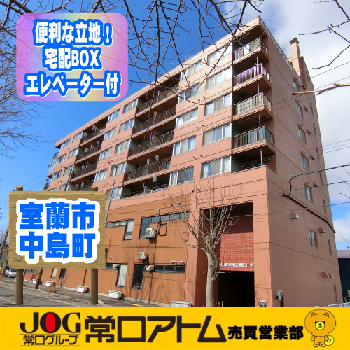 13年の月日。。。の画像