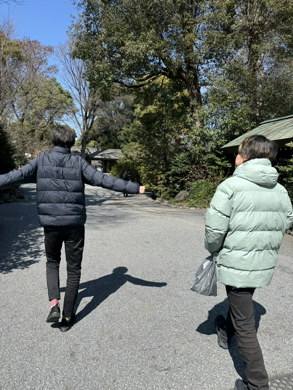 阿佐ヶ谷 神明宮の画像