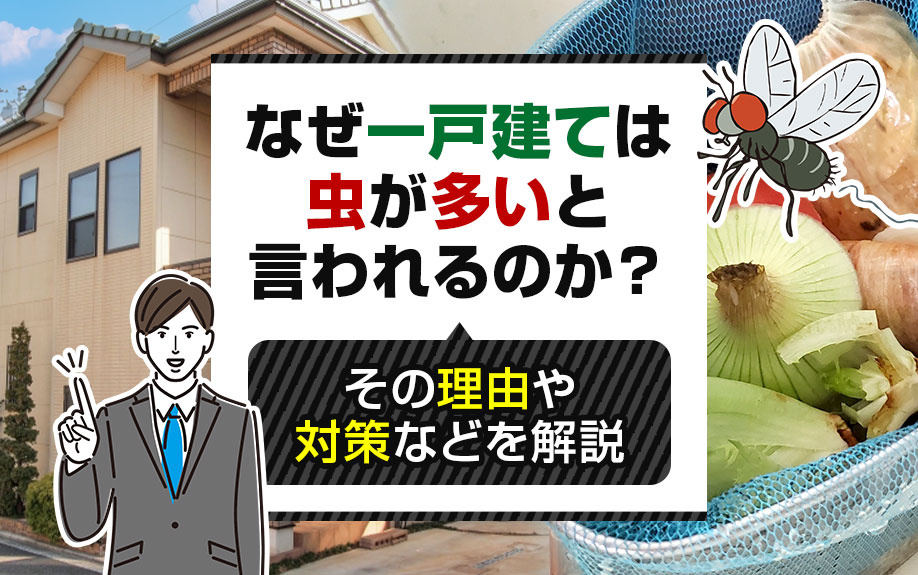 なぜ一戸建ては虫が多いと言われるのか？その理由や対策などを解...の画像