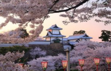 第２０回小倉城桜まつりのご紹介です。の画像