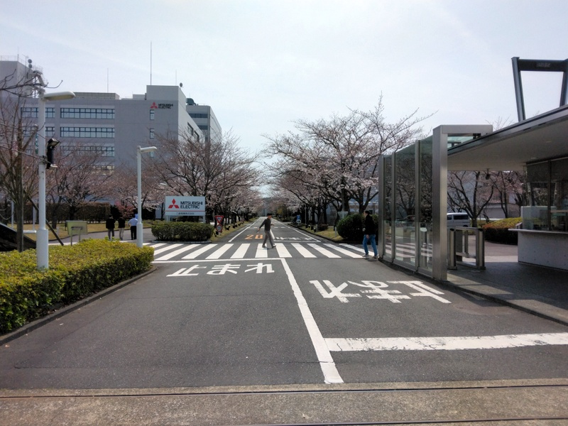 「桜満開｜今年はど～する？三菱電機春まつり2024」　【ホー...の画像