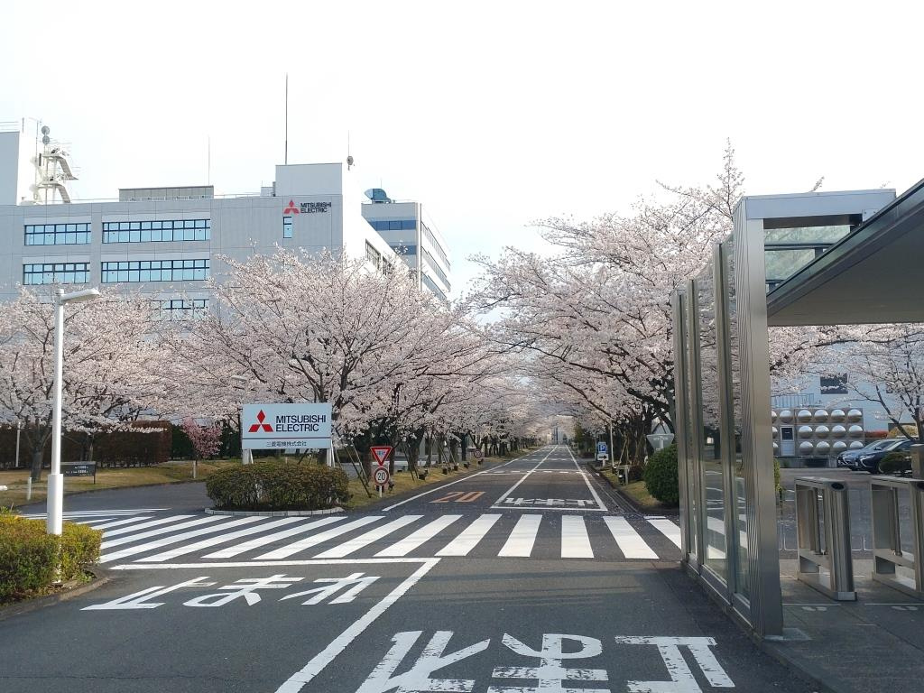 三菱電機春まつり（桜まつり）2024　【ホームメイトFC大船...の画像