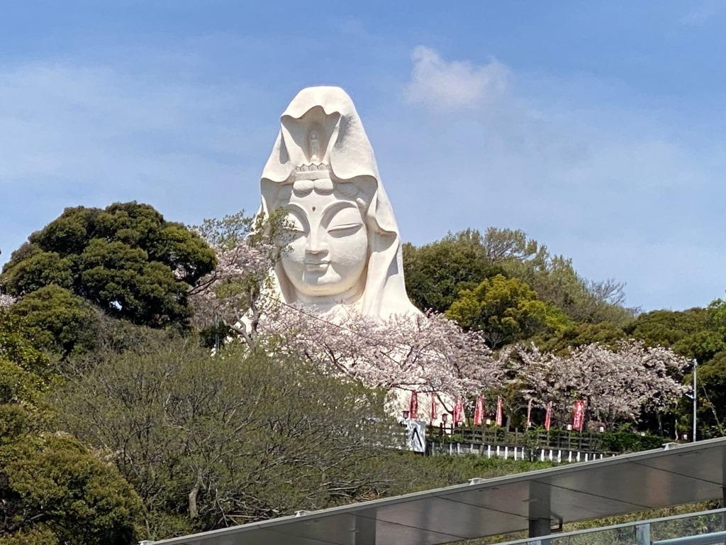 2024年 春の桜と大船観音　【ホームメイトFC大船駅前店　...の画像