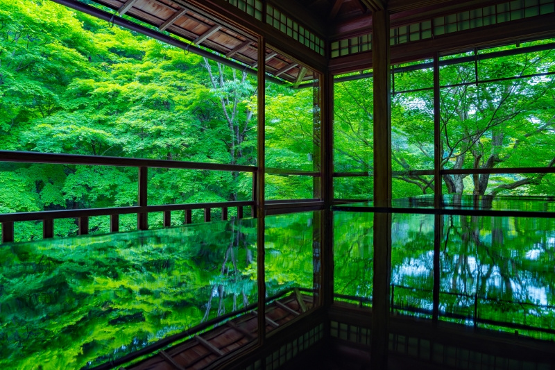 京都のおすすめスポット！の画像