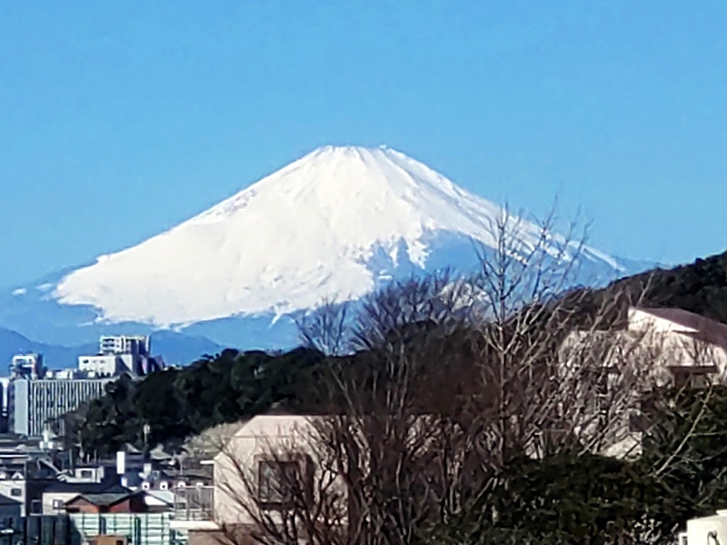 「辞めさせるな！｜川勝平太・静岡県知事」　【ホームメイト大船...の画像