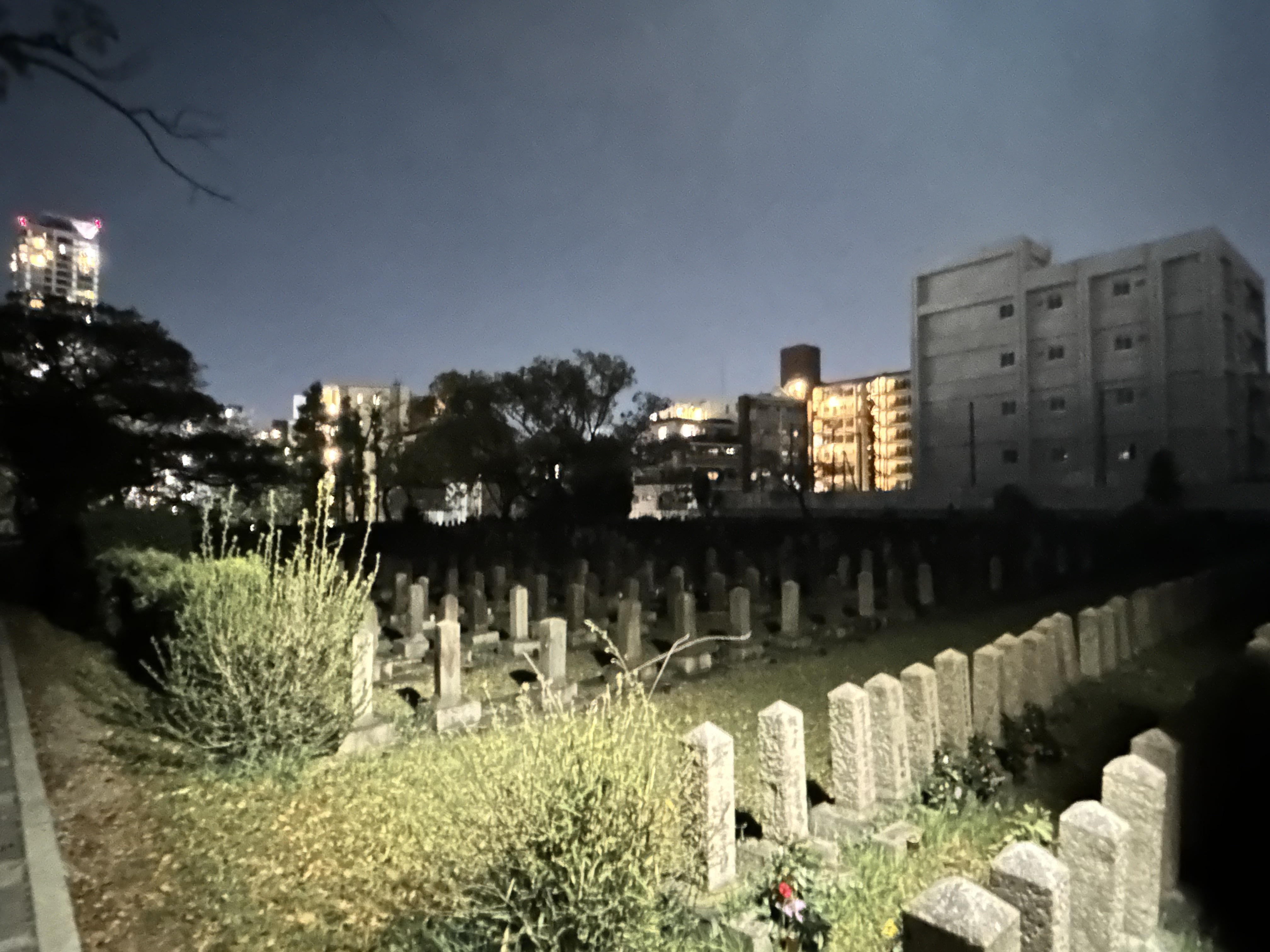 真田山旧陸軍墓地の画像