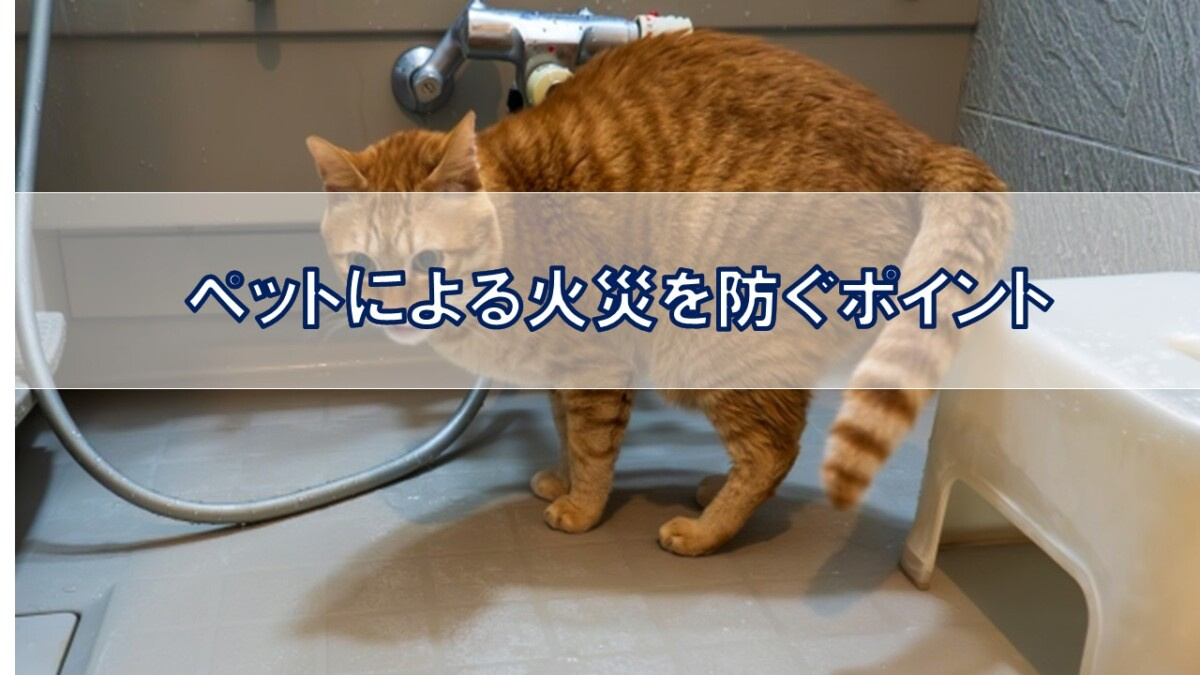 ペットによる火災を防ぐポイント【高崎不動産情報ライブラリー】...の画像