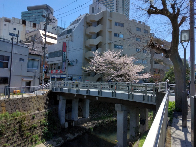 「色は匂へどサクラ散る」　【ホームメイト大船駅前店　ジェイワ...の画像