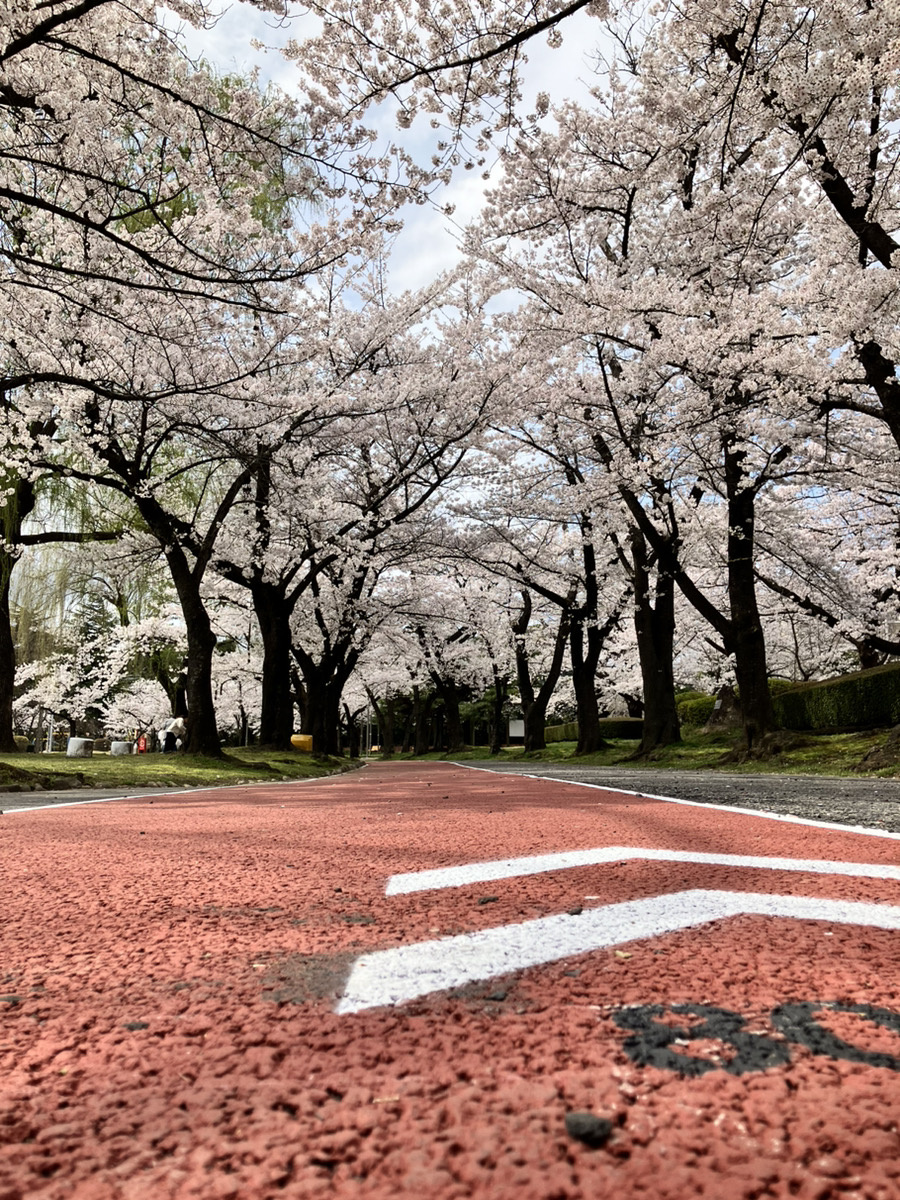 開成山公園の画像