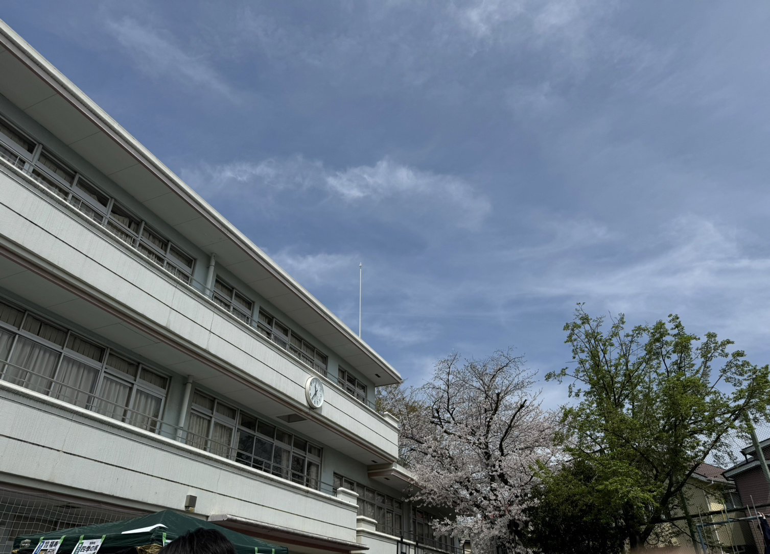 素敵なお花見イベント♪の画像