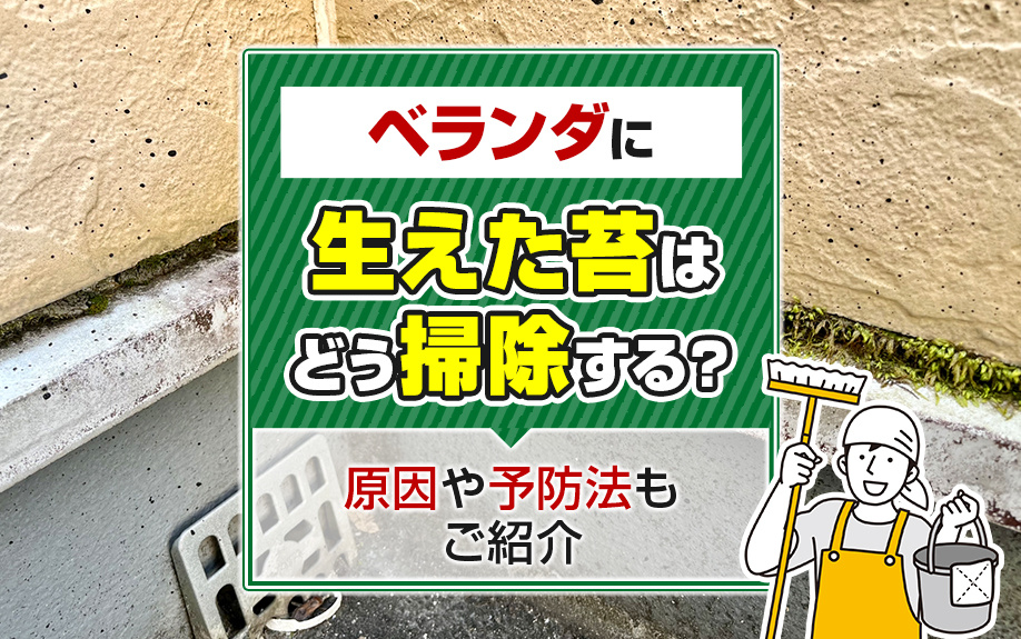 ベランダに生えた苔はどう掃除する？原因や予防法もご紹介の画像