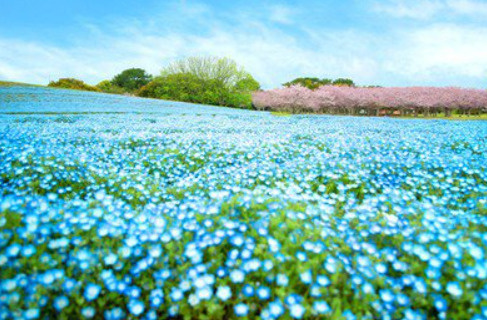 GW福岡のお出かけスポットのご紹介です。の画像