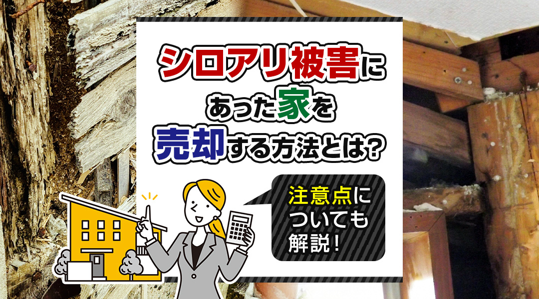 シロアリ被害にあった家を売却する方法とは？注意点についても解...の画像