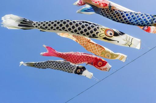 美幌でゴールデンウィークを過ごすなら？おすすめスポット♪の画像