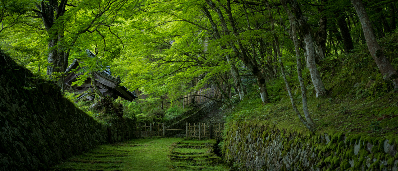 5月のご挨拶の画像