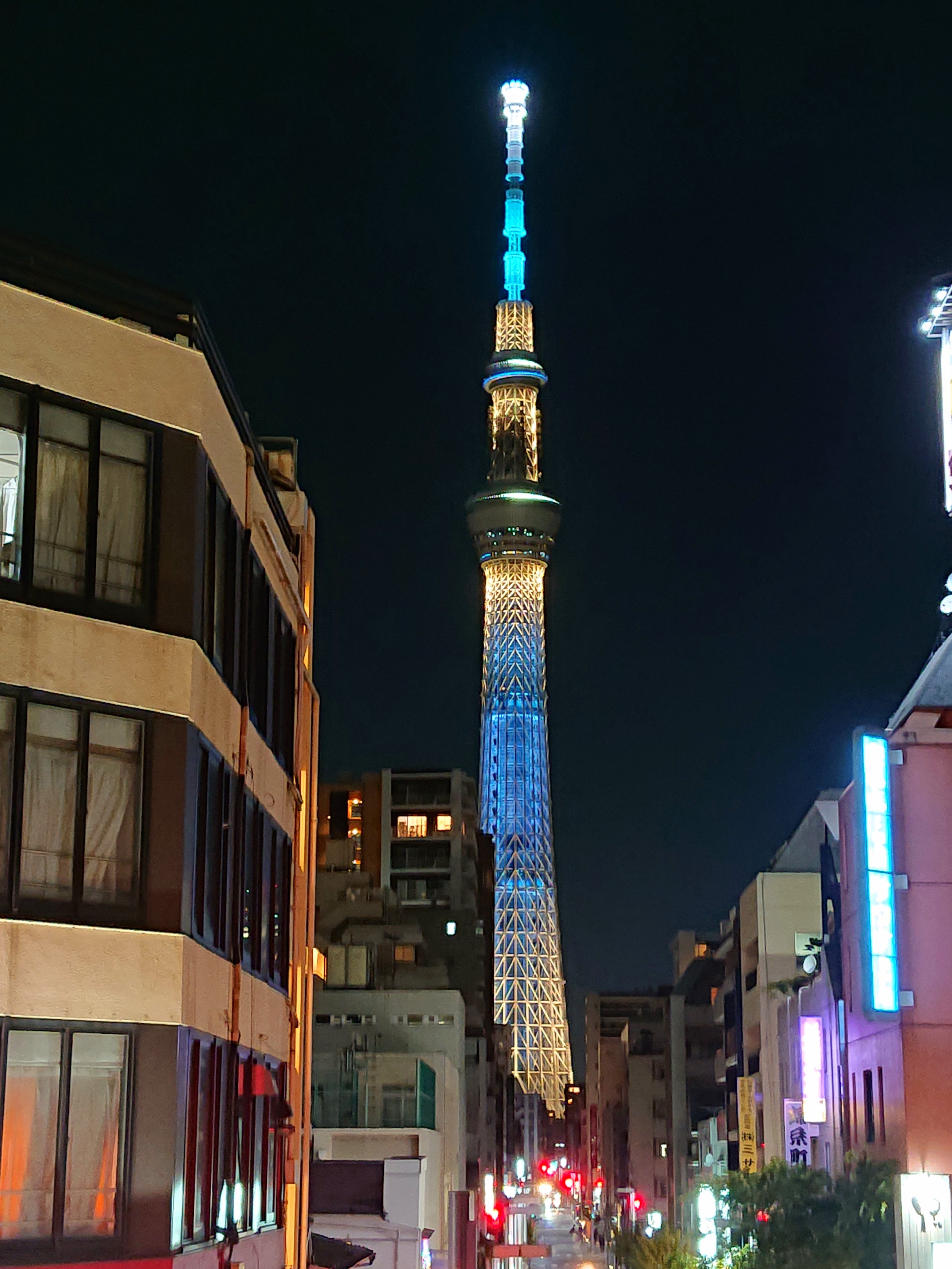 夜のスカイツリーの画像