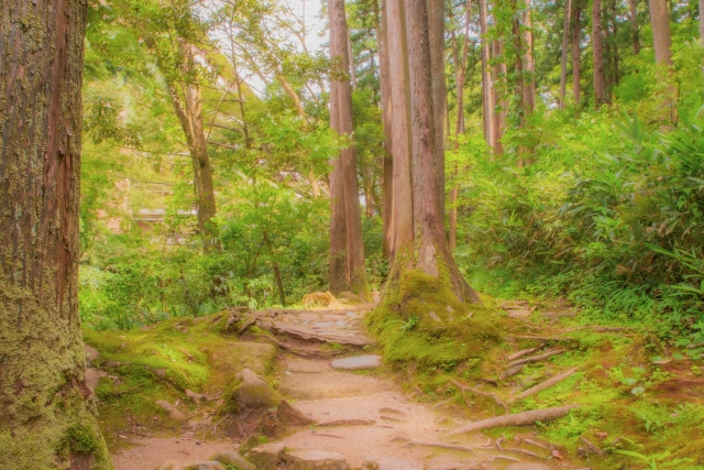 原野商法とはどのようなもの？二次被害の内容や被害を防ぐ方法と...の画像
