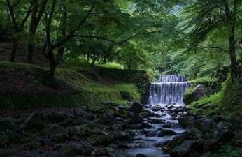 丹波篠山市　農地売却の画像