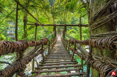 渡りにくい橋の画像