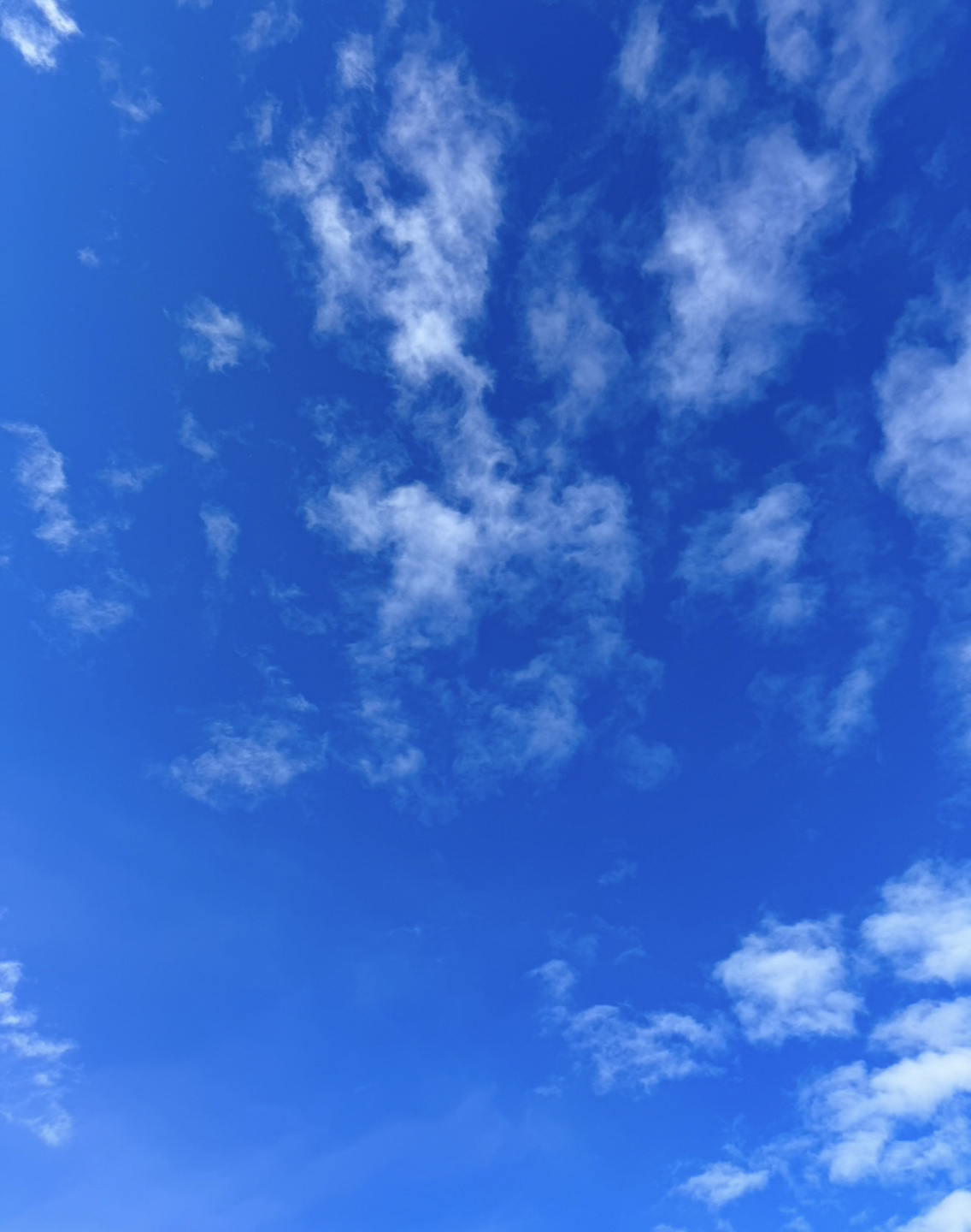 南向きの家はなぜ良いのか？の画像