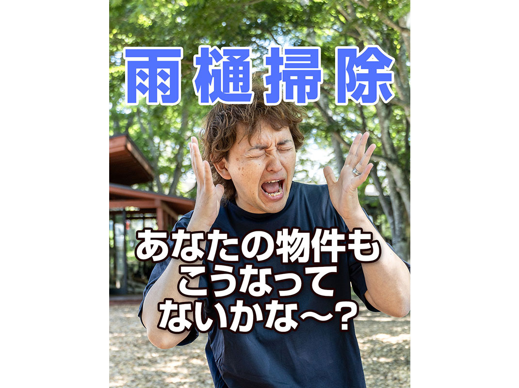 【軽井沢の暮らし】雨樋掃除、あなたの物件もこうなってないかな...の画像