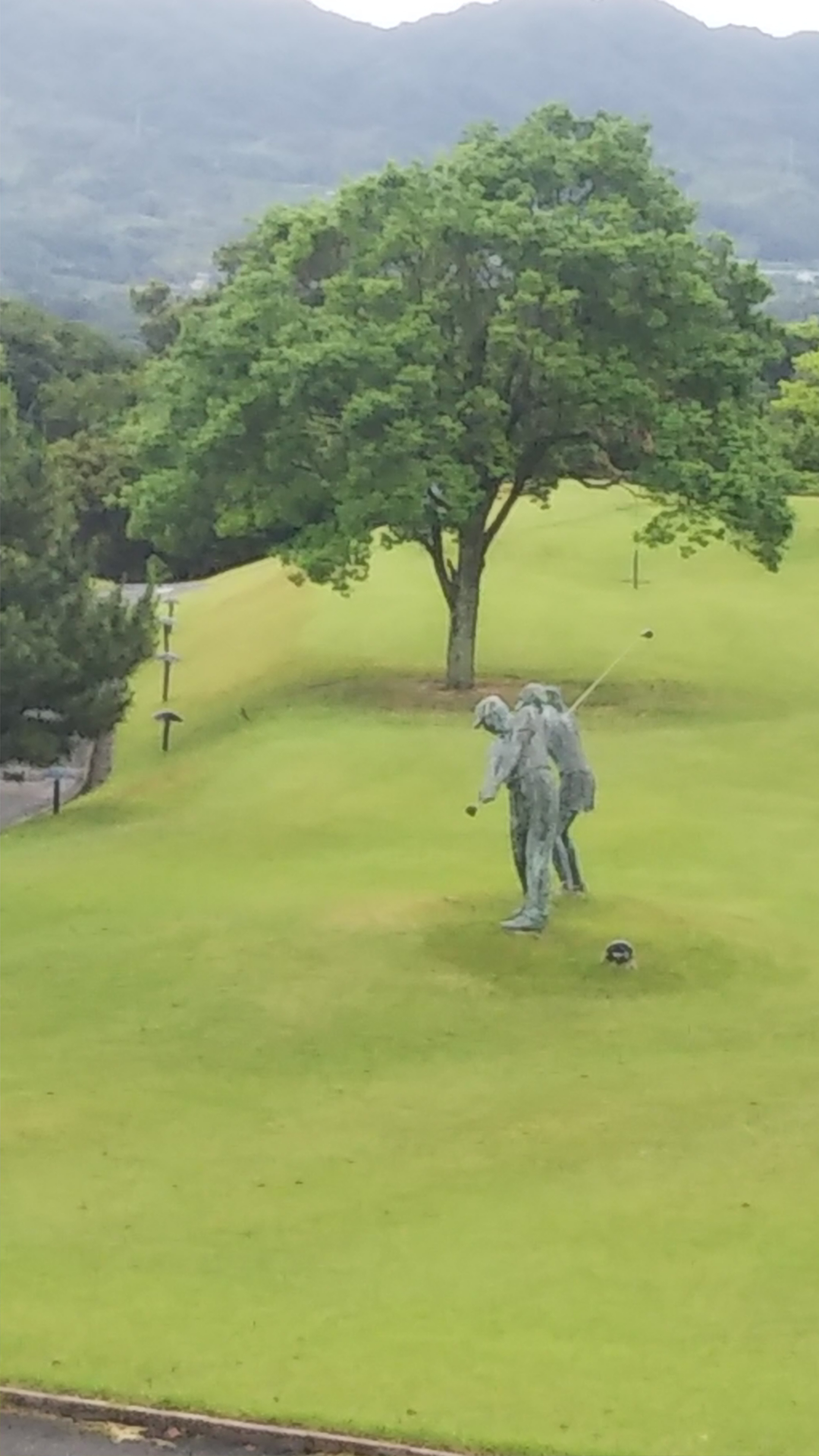 大阪から奈良への画像