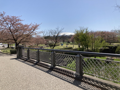 ウッドデッキとすきな街の画像