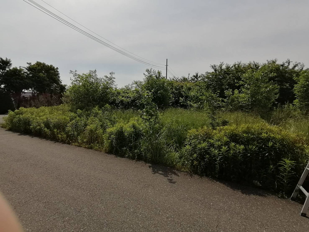 「農地の除草」の画像