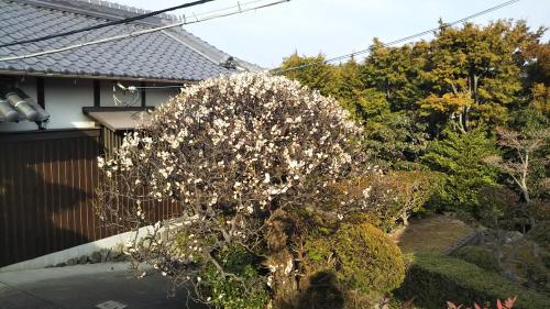 大阪から奈良への画像