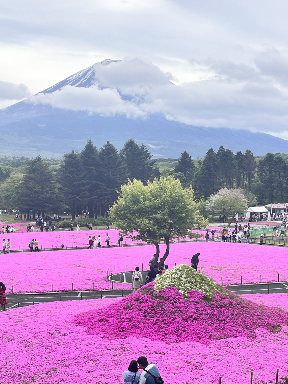 ダブル富士の画像