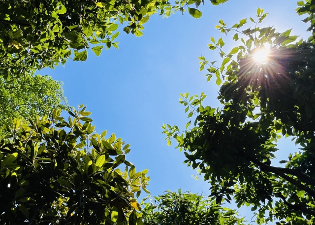 ～夏が来た！どんどん上がる電気代！少しでも抑えたい方必見♪～...の画像