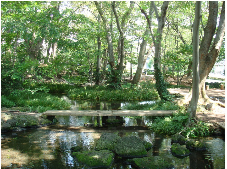 三島市の「白滝公園」の魅力ご紹介！！の画像