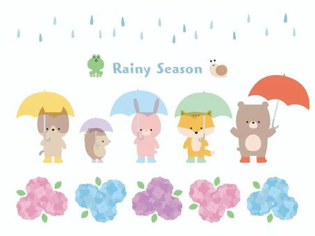 梅雨入りの画像