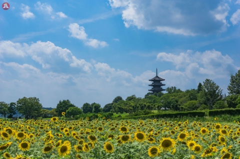 集合写真♪の画像