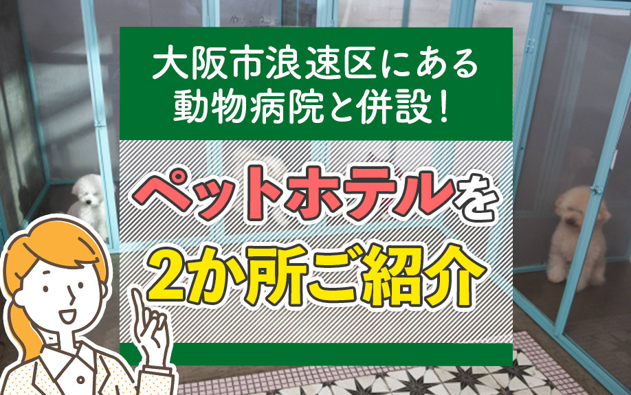 大阪市浪速区にある動物病院！ペットホテルが併設する2か所ご紹介の画像