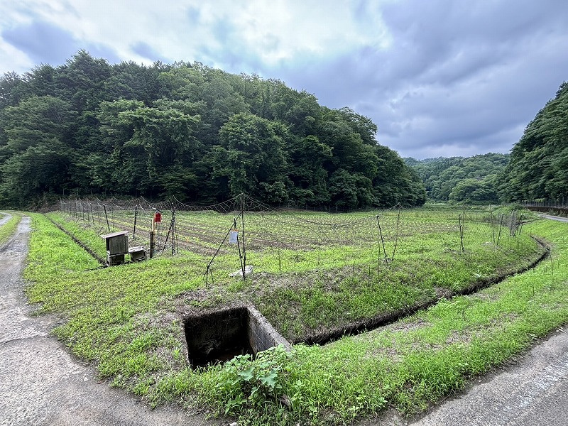 丹波篠山市箱谷　土地の画像