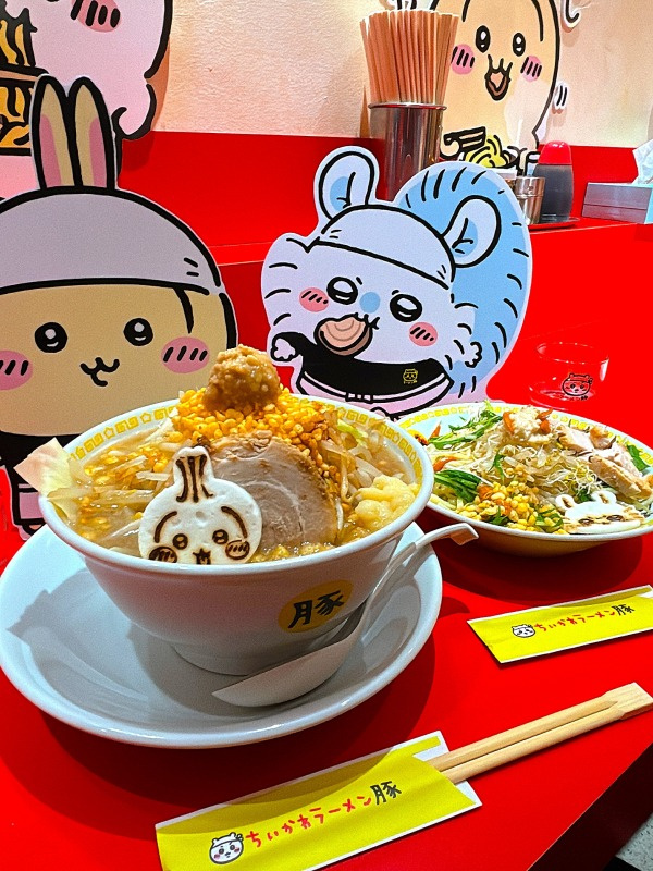れっつちい活in豚の画像