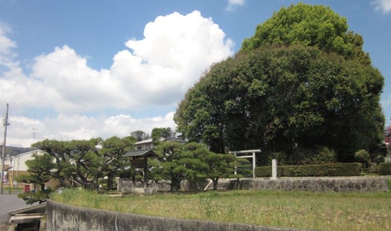 大阪から奈良への画像