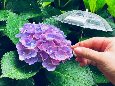 少しでも快適に過ごしたい！お家の湿度対策について！の画像