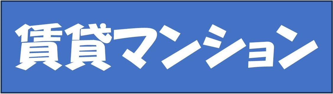 本日の新着情報‼の画像