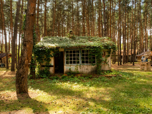 木造の再生住宅の寿命は？建物の寿命を延ばすリフォームとメンテ...の画像