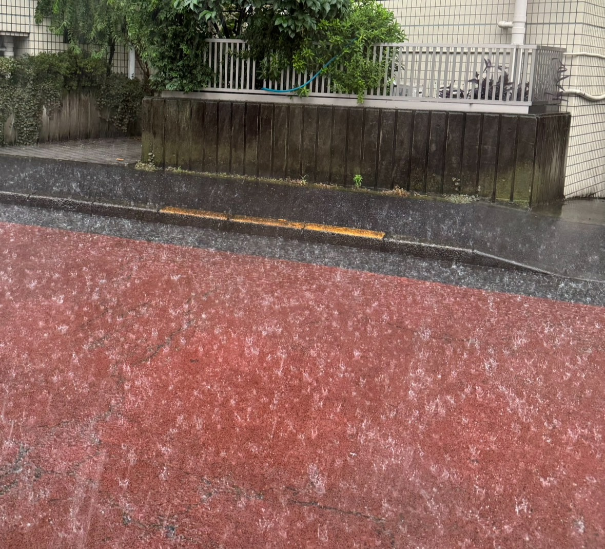 集中豪雨に備える！ハザードマップの調べ方の画像
