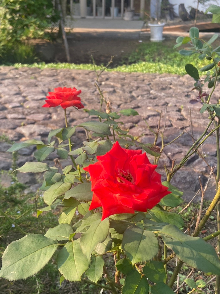 「第17回相続セミナー　「知らなきゃ損する！認知症のコツ」」の画像