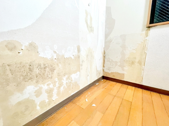賃貸物件の壁紙が剥がれた際の対処法について！費用や修繕する方...の画像