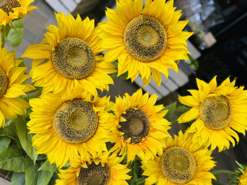 夏季休業のお知らせです！の画像
