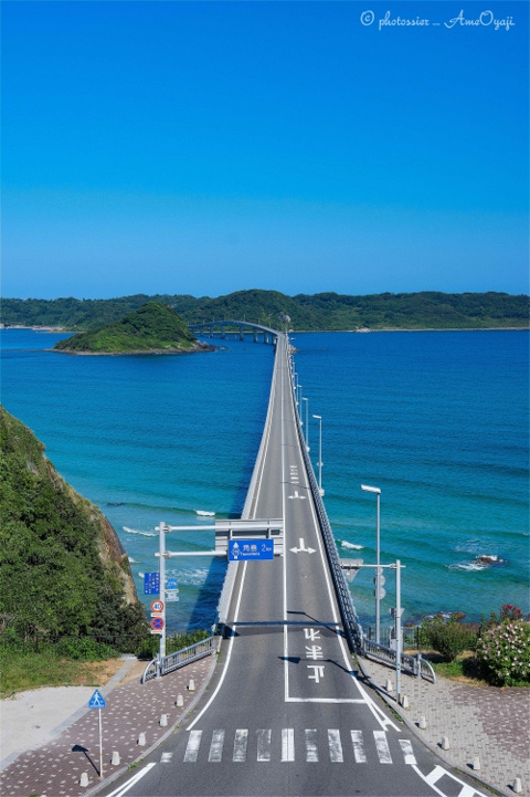 渡りたくなる、泳ぎたくなるの画像