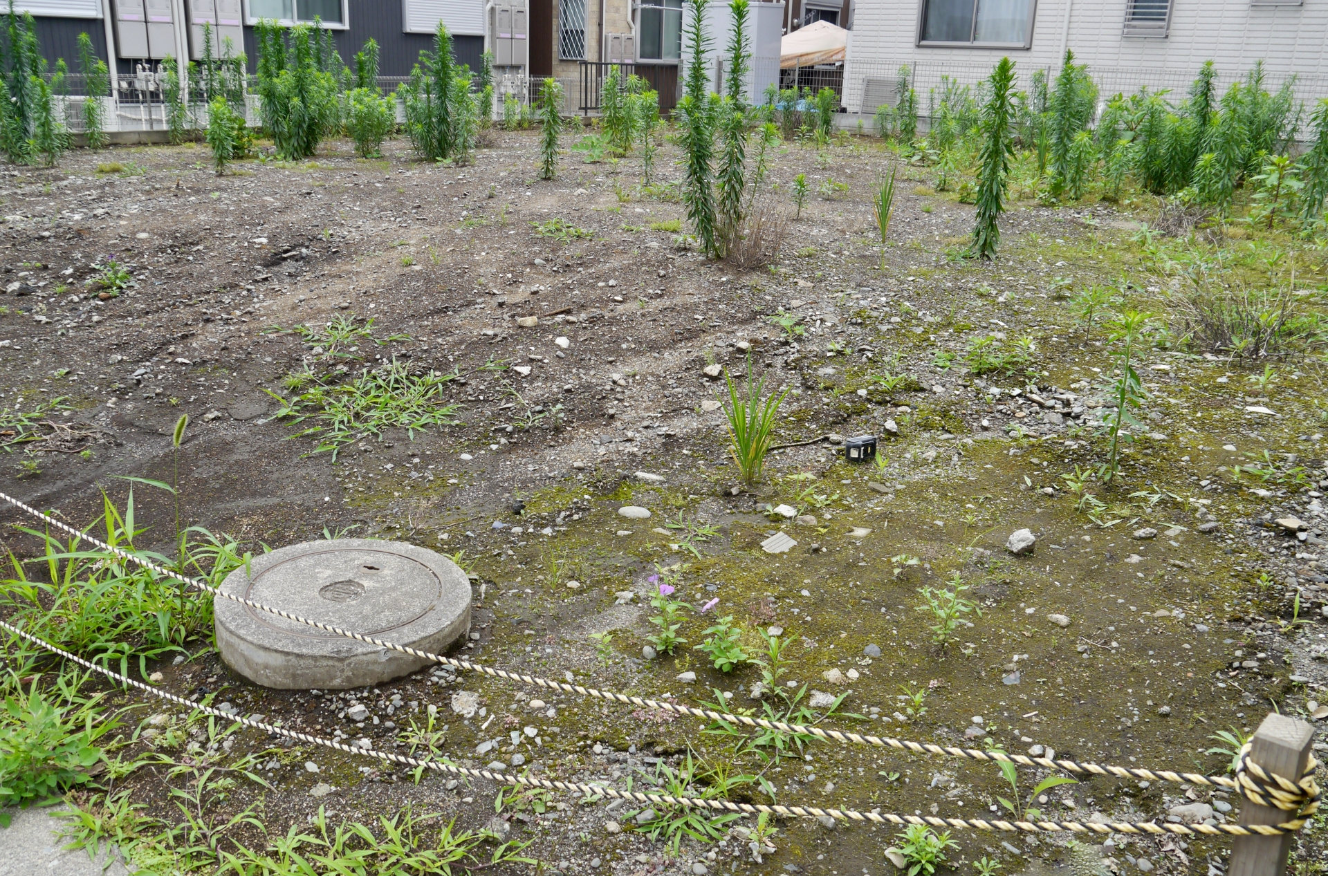 地目の種類とその違い：土地購入の際に押さえておくべきポイント...の画像