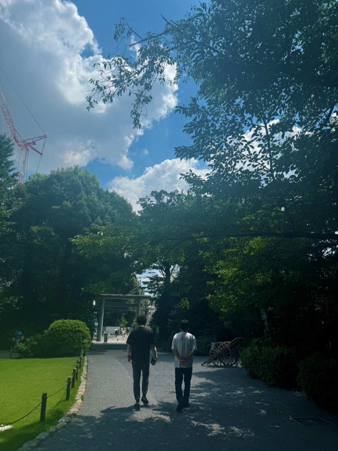 夏の阿佐ヶ谷神明宮♪の画像